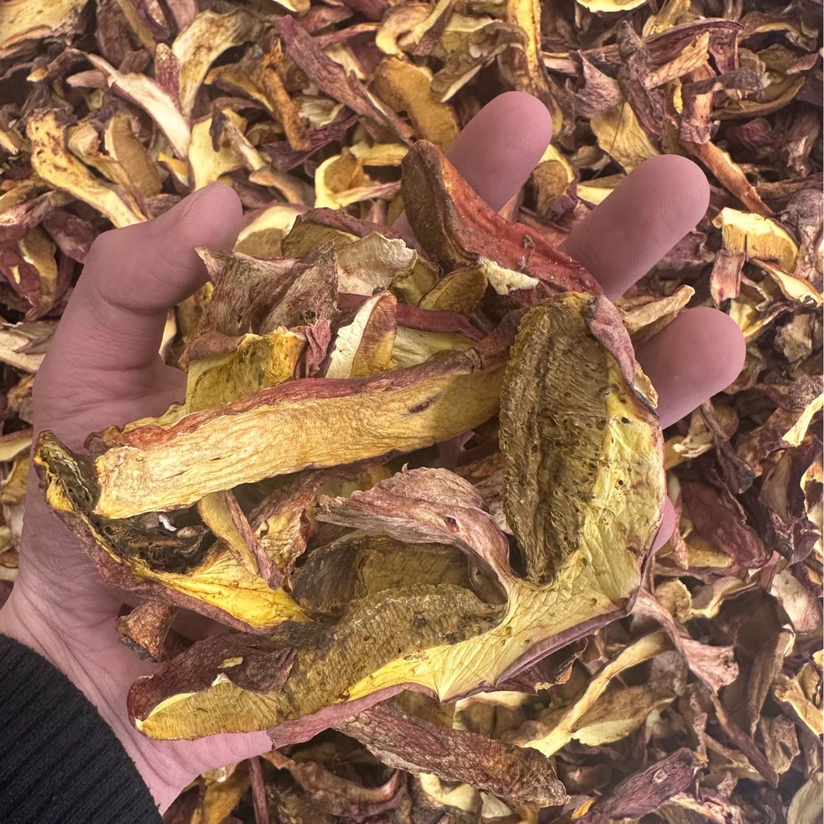 [Porcini Mushrooms] Yunnan Specialty Grade a Dried Red Onions, Direct Supply from the Place of Origin, 250g Bag, Direct Supply from the Place of Origin