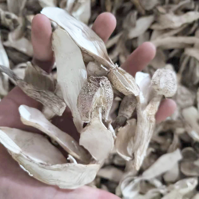 Новинка: Грибные ножки курицы с толстой кожурой 500г, оригинальные нарезанные и сушеные грибы, сероватая поверхность, негутианские товары, подходят для супа