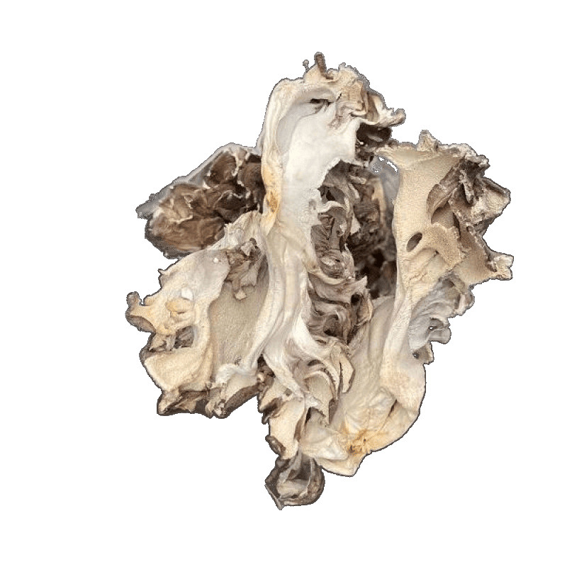 Maitake Dried Goods, Edible Mushrooms, Pollution-Free Green Maitake Tea, Farm Chestnut Mushrooms, Maitake Slices 100g