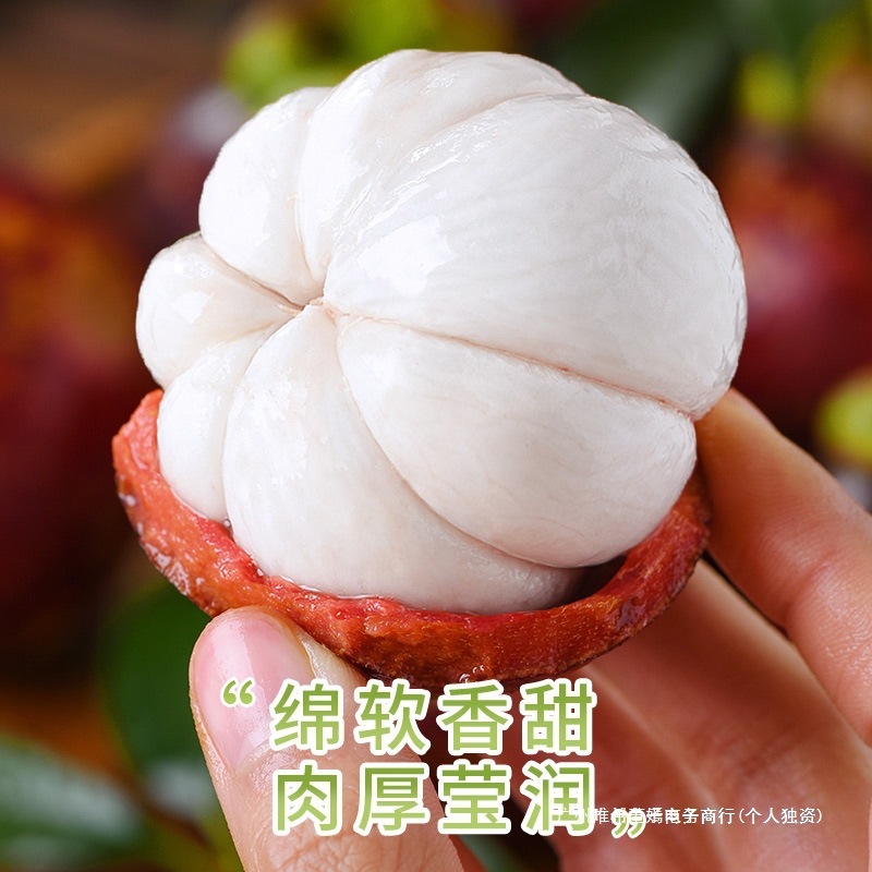 Fresh Thai Mangosteen Large Fruits Whole Box 5kg Seasonal Fruit Sf Free Shipping Seasonal Large Fruit Oil Mangosteen Rattan 6A