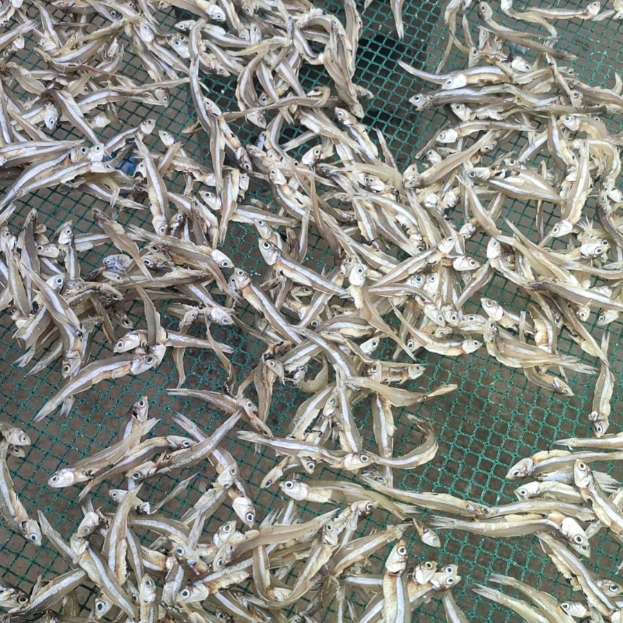 Dried Freshwater Fish, Street Stalls, E-Commerce, Wholesale, Dried Male Fish, Doll Fish, Dried Sailfish, Dried Fish, Dried Whitebait