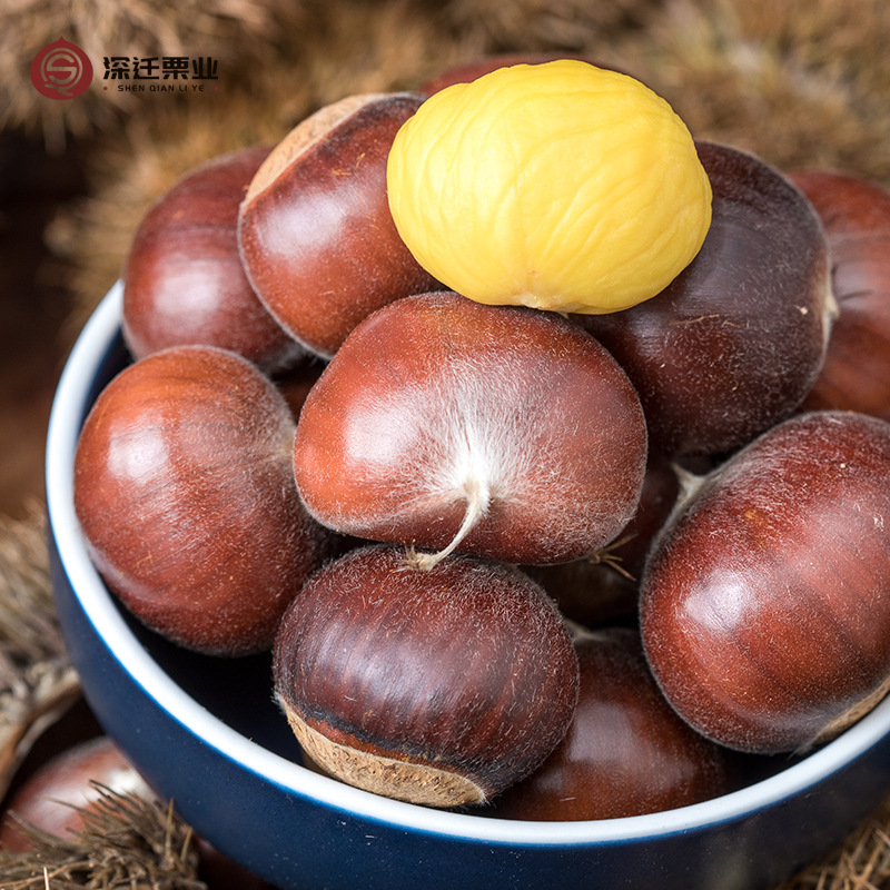 2025 Authentic Qianxi Chestnuts 50kg Wholesale Hebei 313 Chestnuts Fresh Raw Oil Chestnuts Candied Roasted 3113 Chestnuts