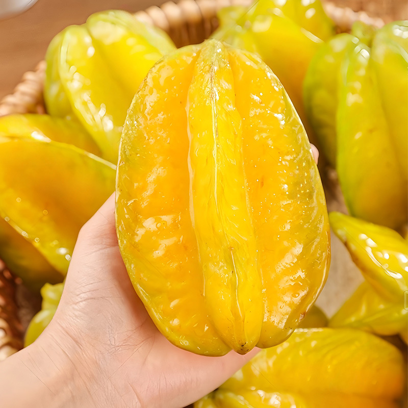 Zhangzhou Sweet Carambola Whole Box Wholesale Five-Pointed Star Fruit Type Juicy Sweet Residue-Free Fruit Fresh Fruit Source Dropshipping