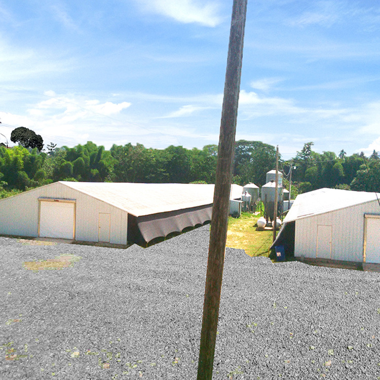 Фабрика для коровников, курятников, стальные конструкции, фабрика стальных конструкций, легкие стальные конструкции, теплица для овощей