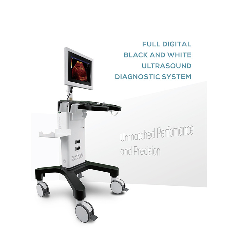 Cross-Border Exclusive Dw-350 Fully Digital Black and White Trolley Ultrasound Diagnostic System Trolley Portable B-Ultrasound Machine