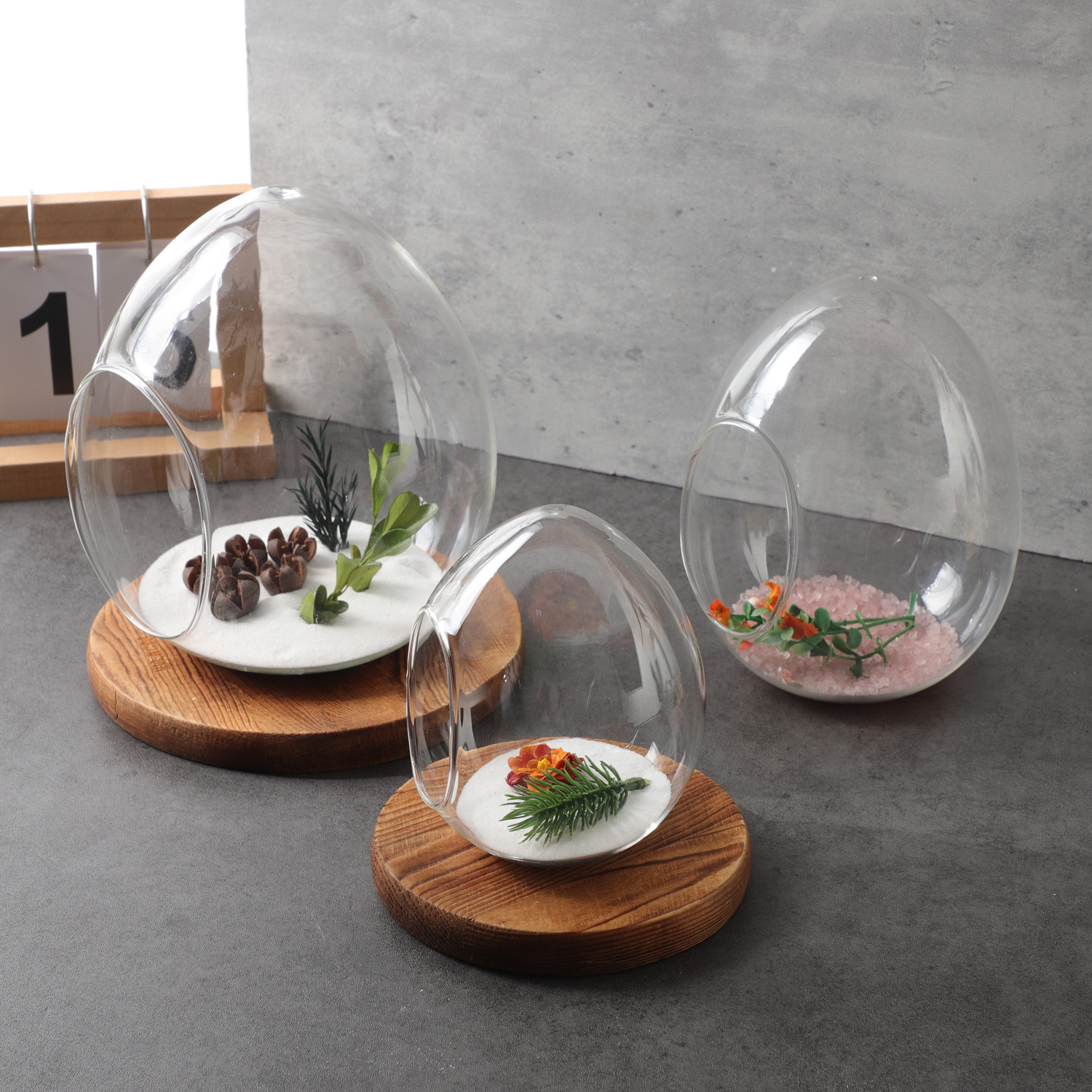 Creative Egg-Shaped Micro-Landscape Transparent Glass Vase Green Plant Succulent Hydroponic Ecological Moss DIY Landscaping Bottle Wholesale