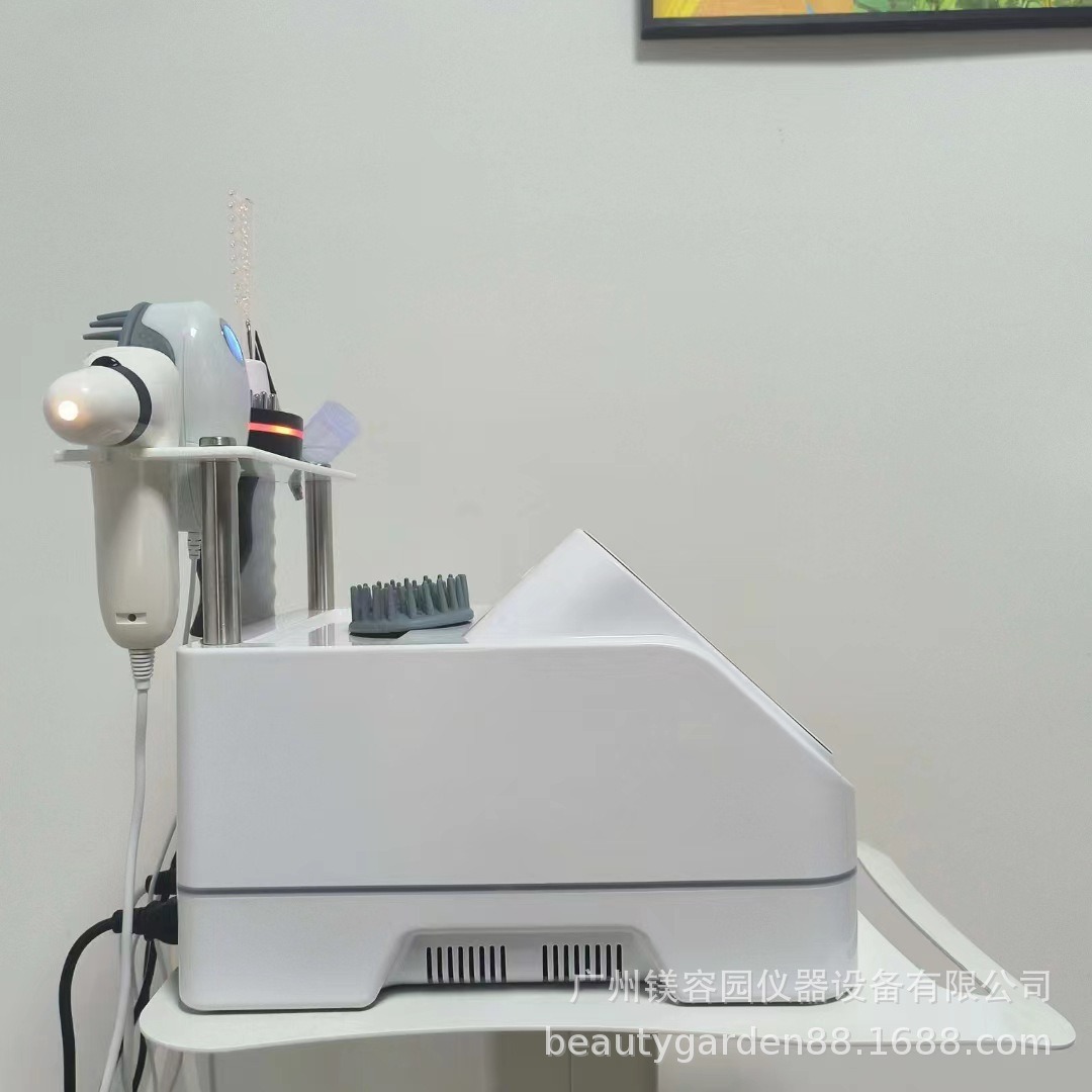 Cross-border foreign trade 10.1 inch head fur sac detector comb meridian massage scalp detection five-in-one physiotherapy instrument