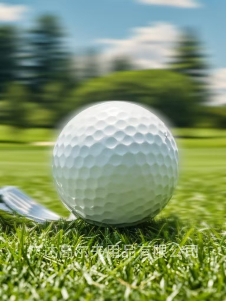 2 Layer Shalin New Golf Golf Blank Practice Ball Distance Ball Printable Logo