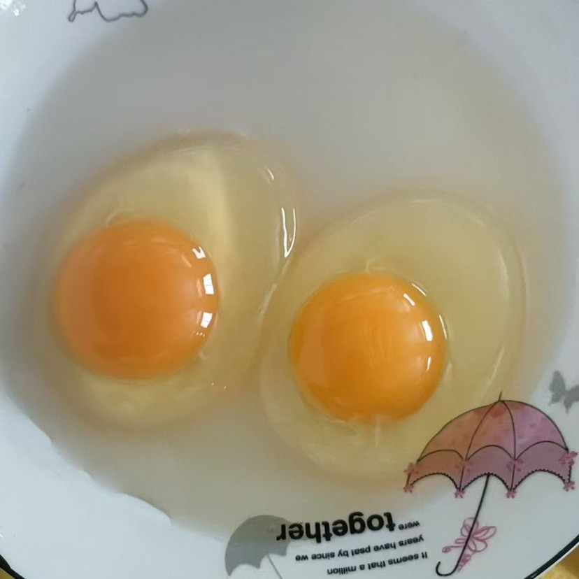 Wholesale Fresh Farm-Raised Free-Range Eggs, Grass-Fed Eggs, Free-Range Eggs, Pink-Shelled Eggs, Fresh Eggs, Firewood Eggs, Grain Eggs