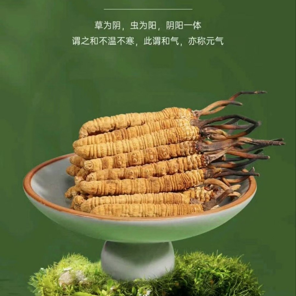 Authentic Cordyceps Sinensis, 2 Pieces Per Gram, Premium Dried Cordyceps from Nagqu, Xizang, Wholesale and Distribution from the Source Manufacturer Nationwide