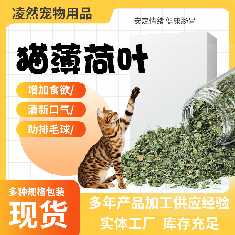 Кошачья мята 2г 3г 5г, листья и стебли в упаковке, игрушки из кошачьей мяты, чистка зубов для домашних животных, оптовые закуски для кошек
