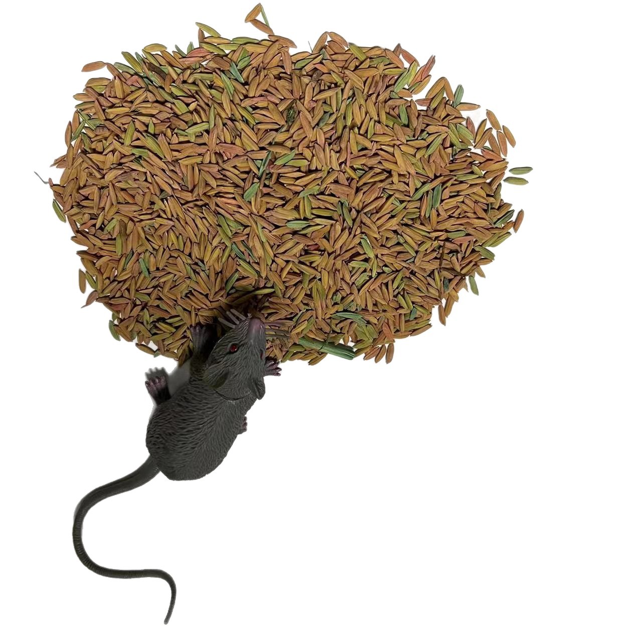 Wholesale Rat Rice Grain Rat Bait Poison Rat Trap Artifact Black Technology Commercial Environmentally Friendly Rodent Control Insect Repellent Grain