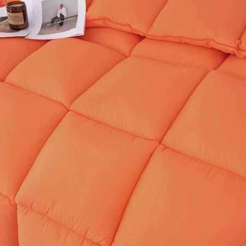 Get Rich Immediately Velvet Quilt Thickened Orange Winter Quilt for Guesthouses and Hotels, down Velvet Quilt Core, Wholesale for Supermarkets, Group Purchase Gifts