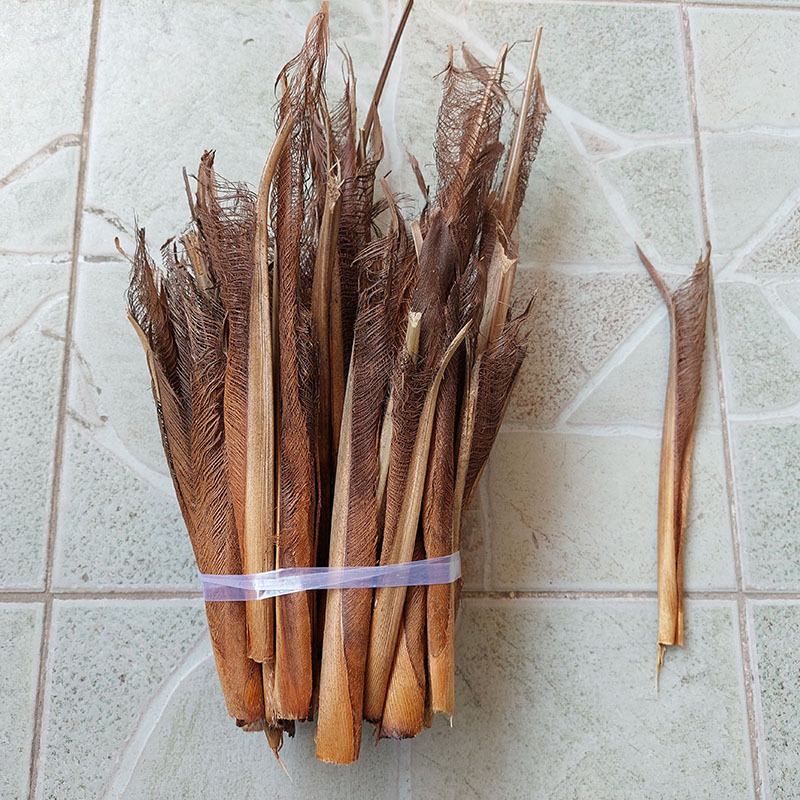 Искусственные зеленые растения из коры дерева, декоративные материалы для интерьера, сухая кора дерева коричневого цвета