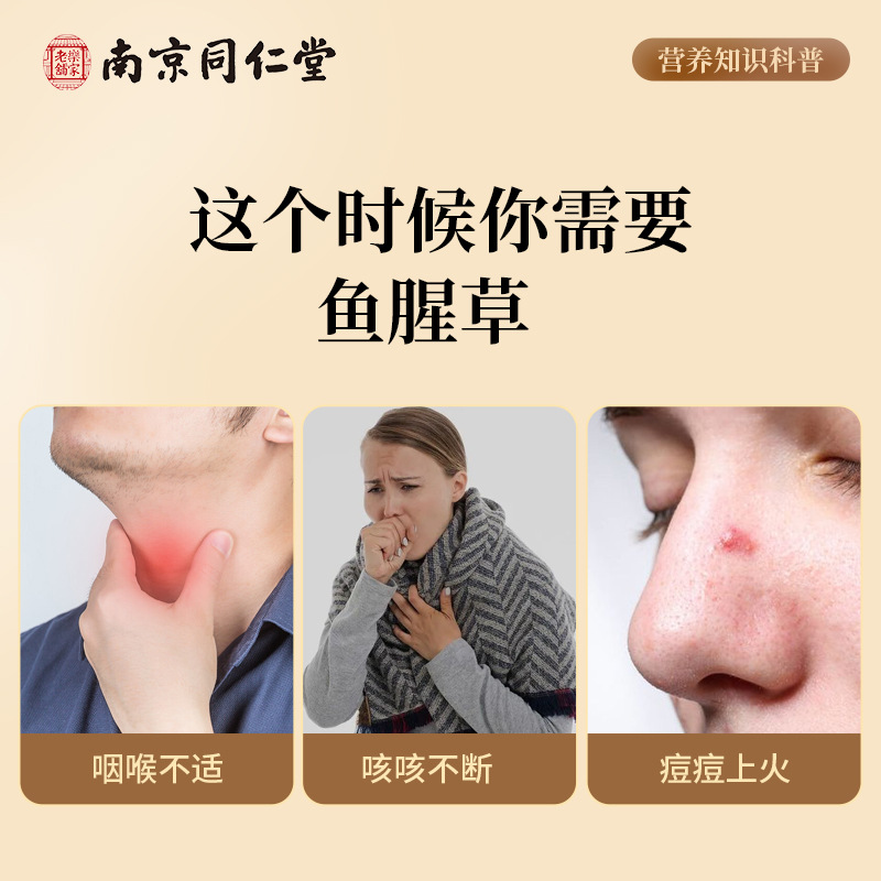 Nanjing Tongrentang Houttuynia Cordata Authentic Chinese Herbal Medicine Dried Goods Dandelion Honeysuckle Soaked in Water for Health Care Combination Wholesale