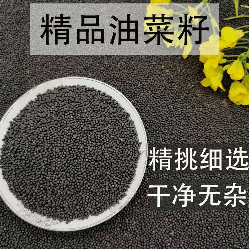 When the season's new rapeseed rapeseed seeds are on the market, Henan origin rapeseed/500 g/pack is distributed on behalf of each other.