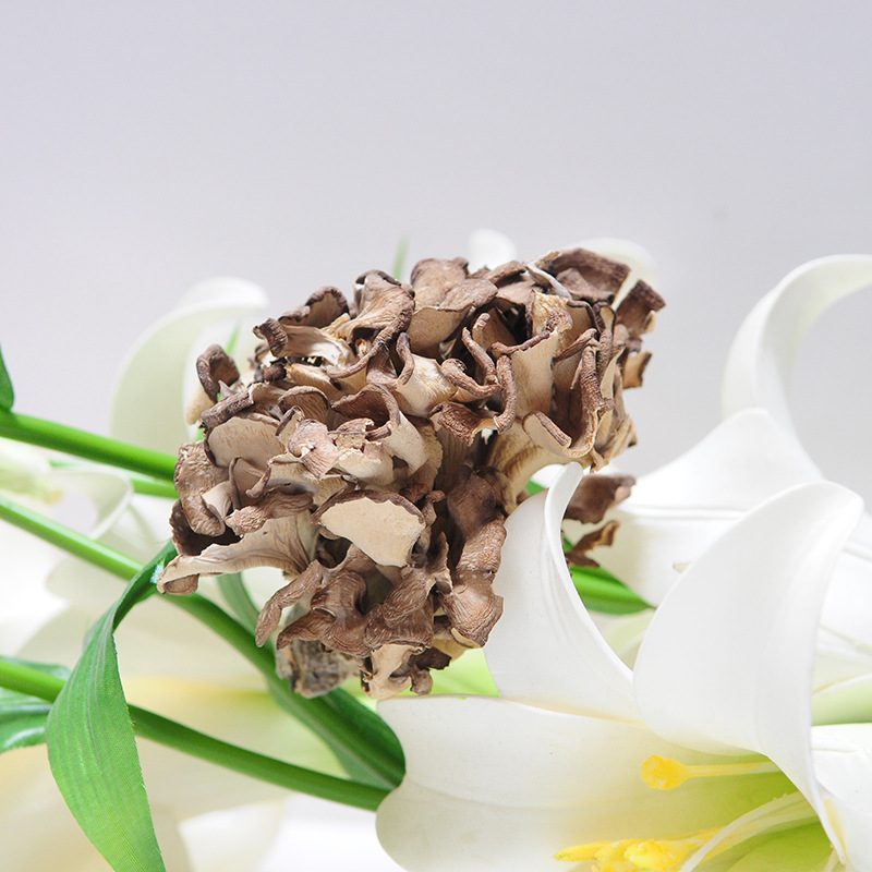 Грифола Фрондоза Циньюань Прямые поставки от производителя (Майтаке) Сухие товары без серы Новые товары 500г Коммерческие грибы Готовы к продаже