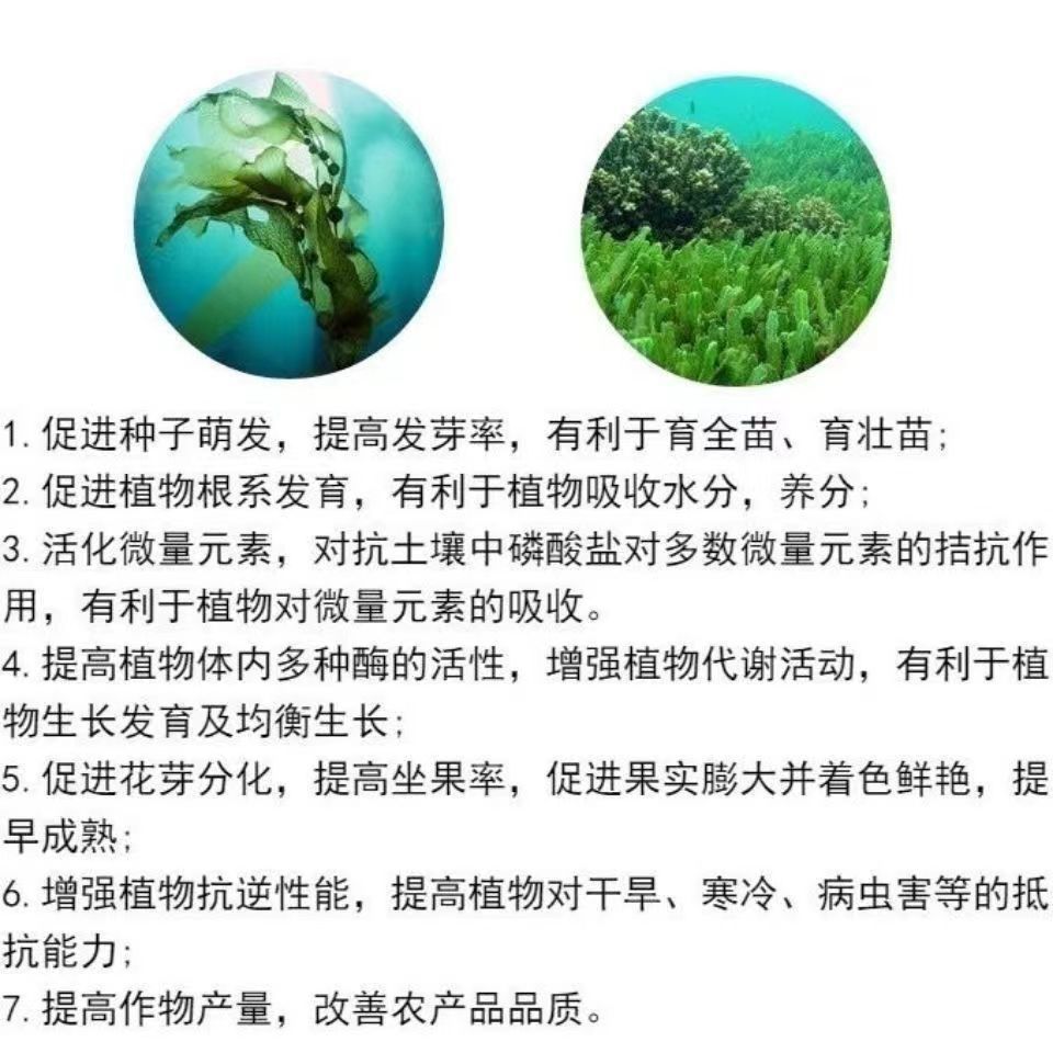 Seaweed Essence, Fruit and Vegetable Rooting Agent, Water-Soluble Fertilizer, Rooting and Seedling Improvement, Soil Improvement, Promoting Roots and Seedlings, Agricultural Seaweed Essence