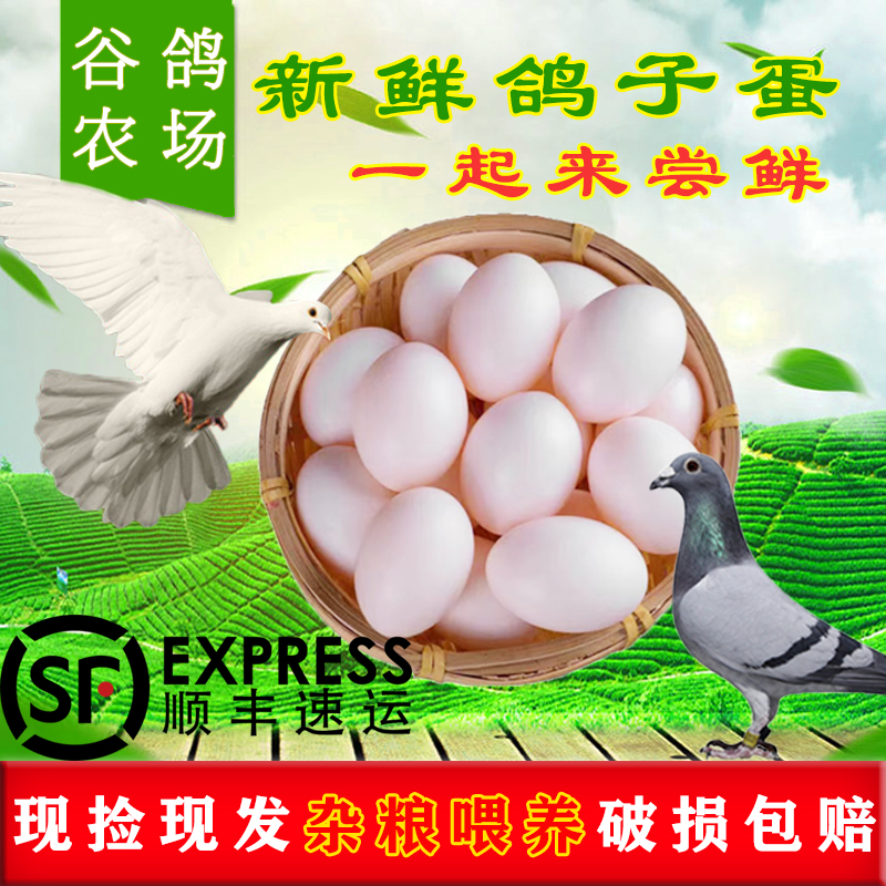 Бесплатная доставка Sf [30 штук, более 610 г] свежие яйца голубей, фермерские зерна, доставка напрямую с фермы