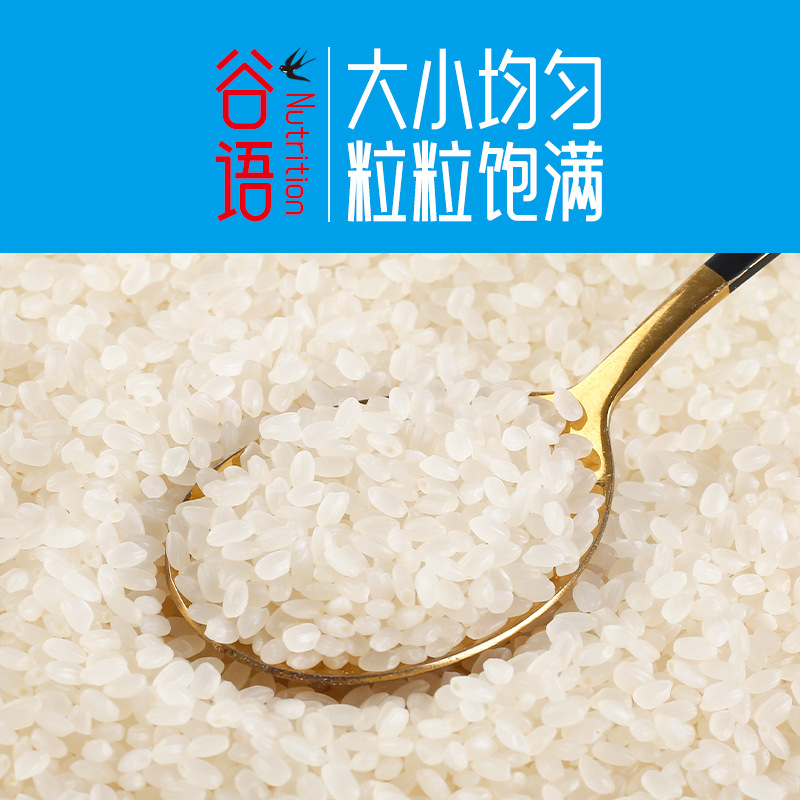 Rice 500g New Rice Northeast Rice Brick Vacuum Packaging Farm-Grown Grains Manufacturer Wholesale Grains