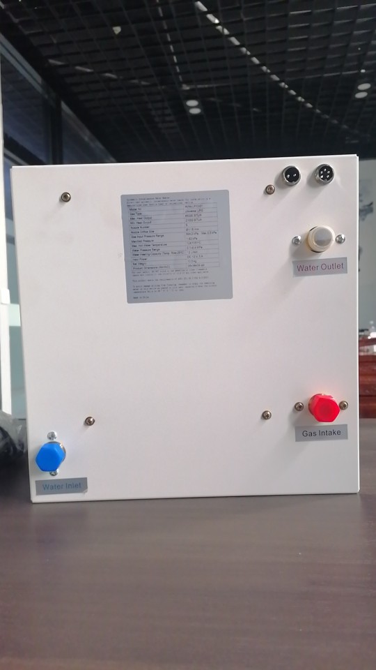 Easy-To-Move Rv Water Heater Gas Burner Constant Temperature Vertical Instant Water Heater Liquefied Petroleum Gas Portable