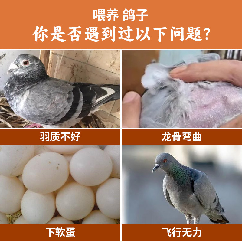 High Calcium Shell Powder Anti-pecking Oyster Calcium Bone-strengthening Shellfish Feeding Chicken Duck Goose Pigeon Special Additive Feed for Poultry