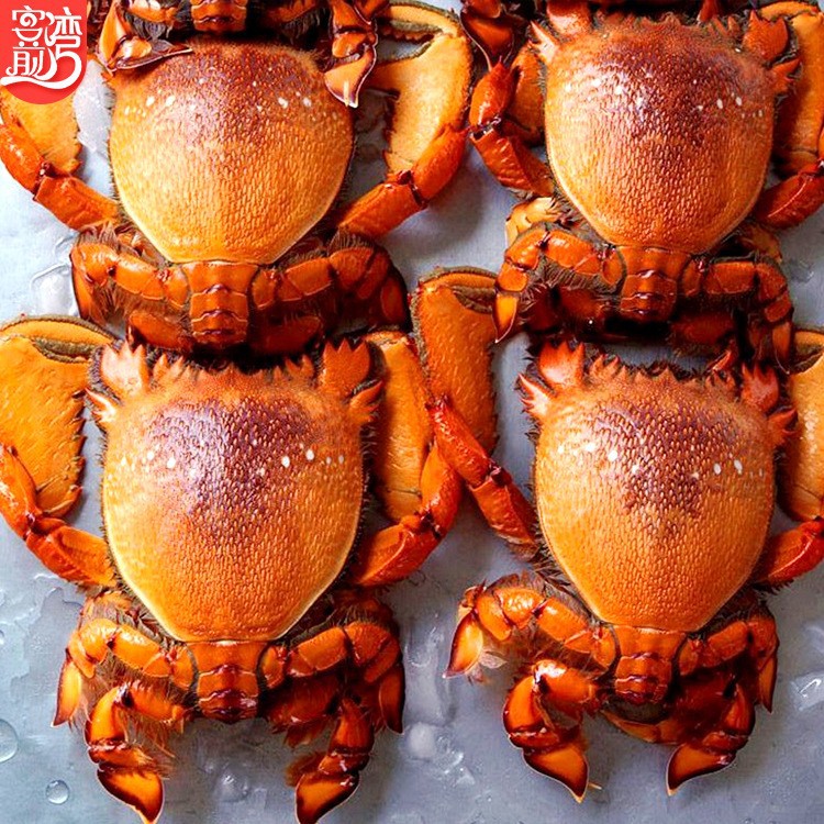 Живой замороженный тигровый краб, около 0.5кг за штуку [Love Fish Full Cabin Dropshipping Live Broadcast]