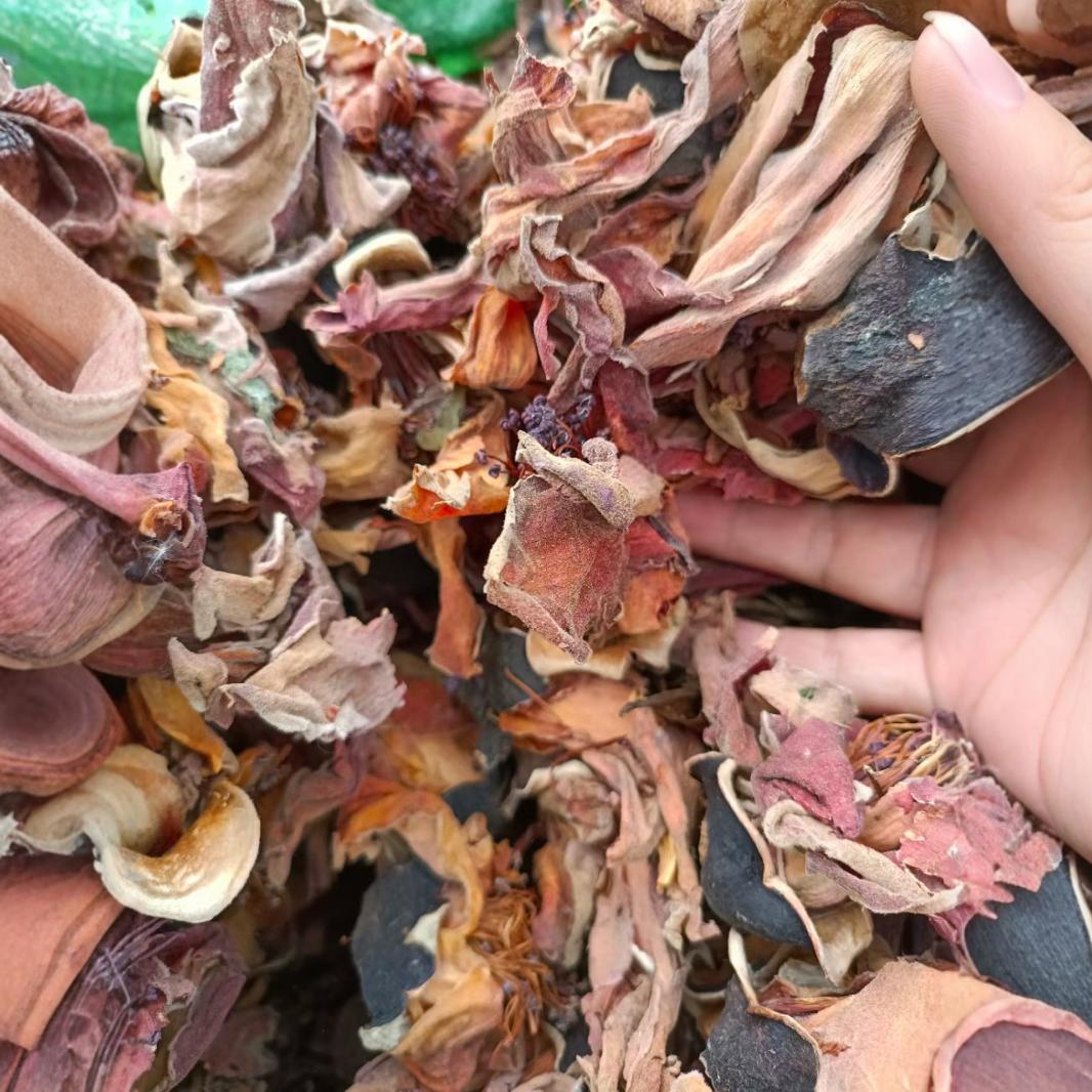 Kapok Dried Flowers Panzhihua New Arrival