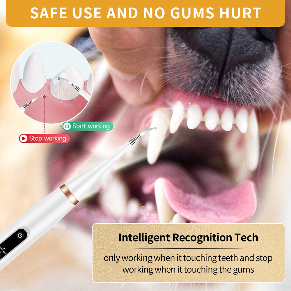 Dog dental scaler dental calculus remover pet beauty ultrasonic electric dental cleaning instrument cat teeth cleaning suit