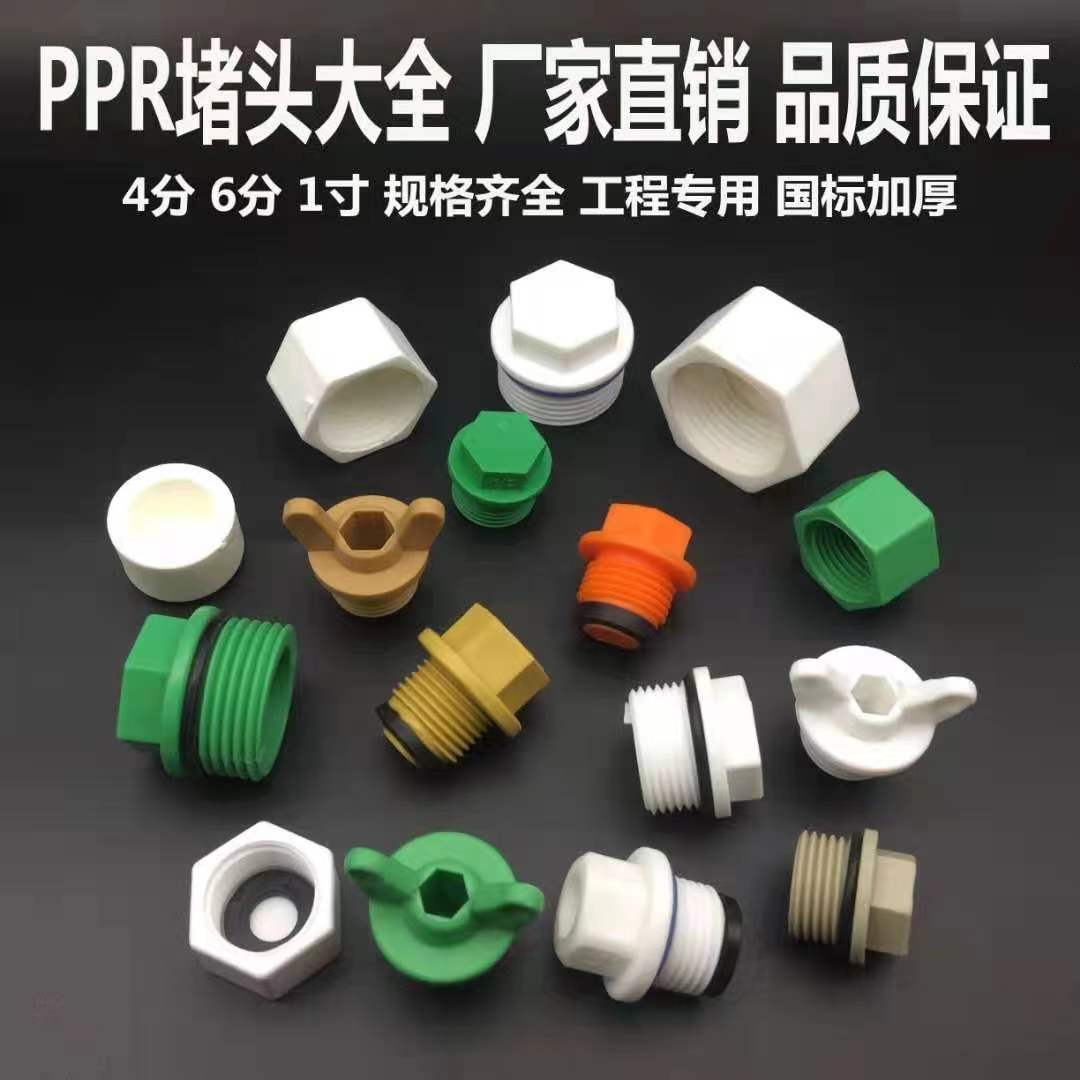 PPR external wire hexagon plug 4 points ear plug 6 points inner tooth plug Rifeng home plumbing fittings ppr pipe fittings