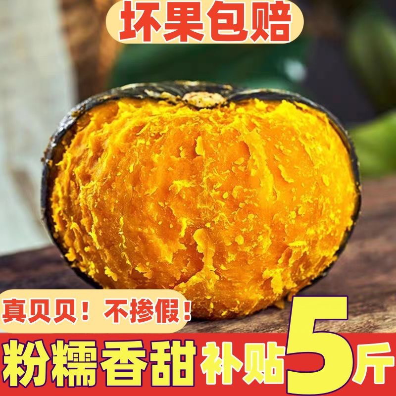 Authentic beibei chestnut pumpkin wholesale pregnant women baby food supplement fresh vegetables whole box wholesale beibei pumpkin