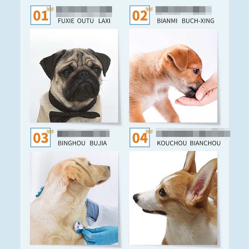 New Pet Kang Pet Probiotics 5g*10 Bags Boxed Cat Gastrointestinal Powder Dog Gastrointestinal Nutritional Products Wholesale