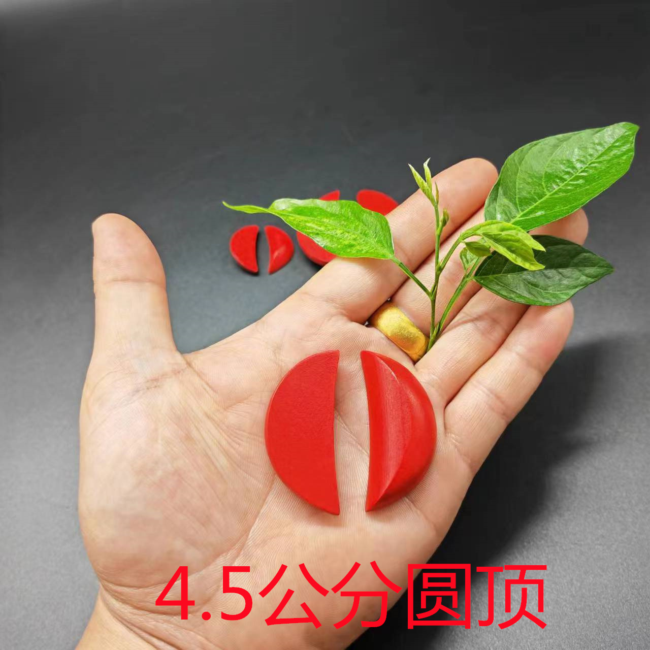 Mini Solid Wood Holy Grail Winning Cup Shenggua Tribute Cup Jiao Yin Yang Gua Cup Instrument Feng Shui Gua Prop Laughing Cup Throwing Cup