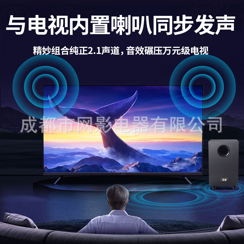 Net Shadow Tv External Digital Coaxial Subwoofer Audio Replaces Soundbar Home Theater Speaker Stereo