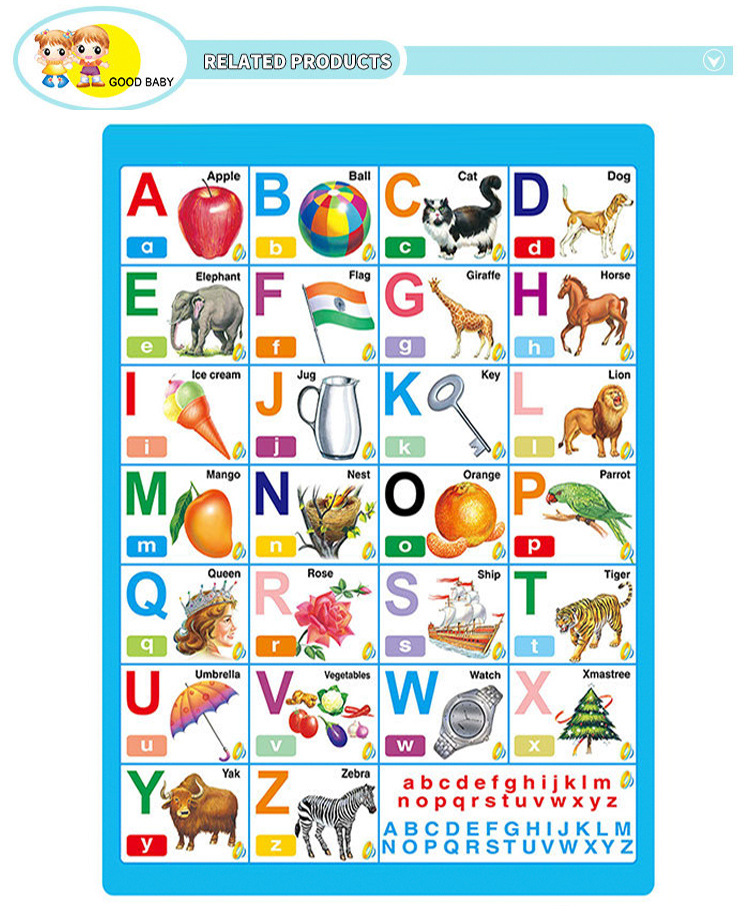 Early Education Export Stereo Concave and Convex 3D Cross-Border Silent Wall Chart Amazon Paper English Wall Chart Manufacturer Can Inquire for Details