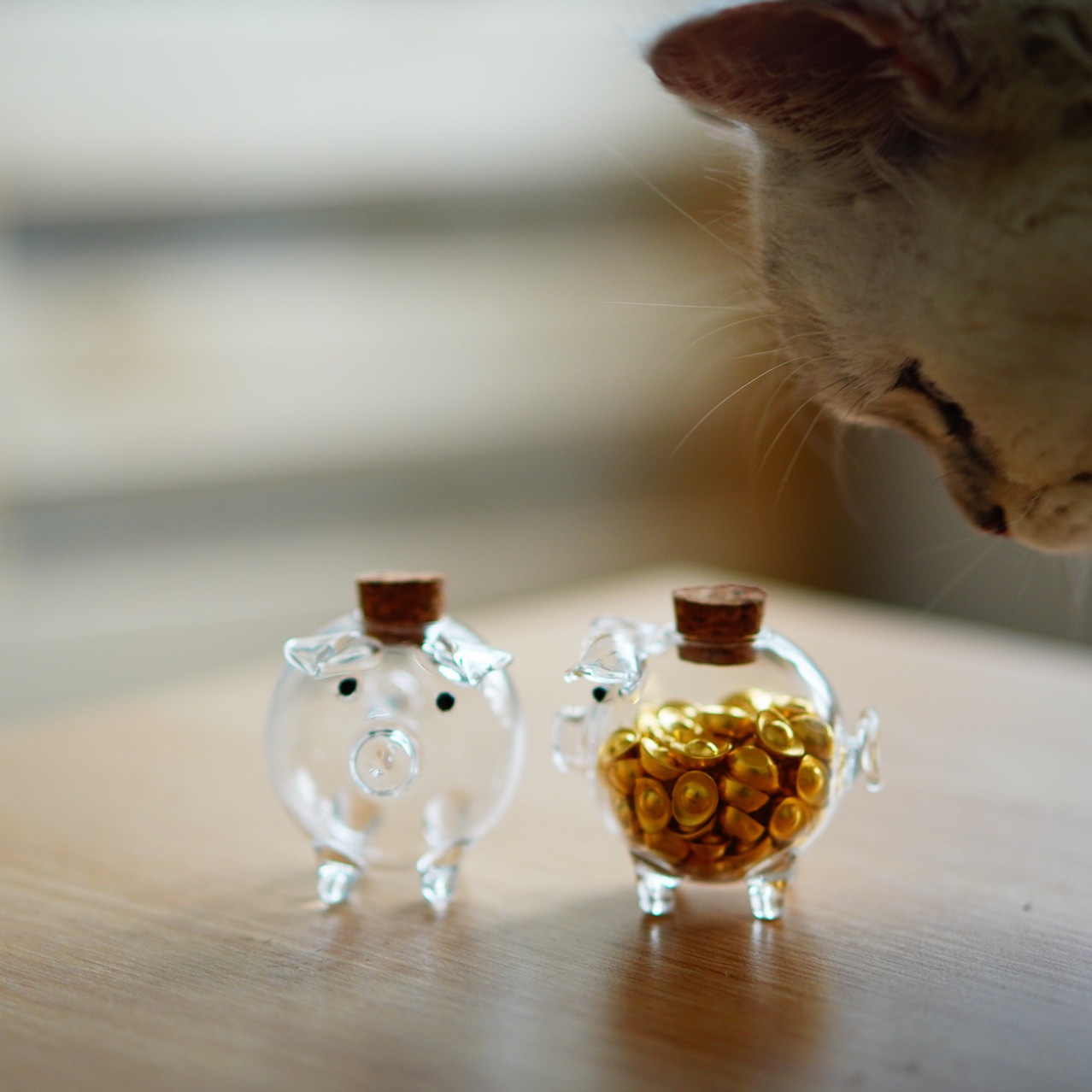 Мини-свинка 7M9Kins, симпатичная свинья, бутылка для хранения желаний, стеклянная бутылка, золотой стебель бобов, красная книга, одинаковый стиль