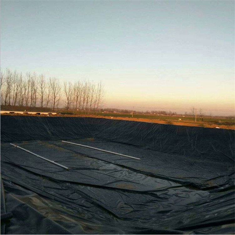Reservoir Geomembrane Flood Prevention and Anti-Aging Black Film Dam Protection High Density Polyethylene Anti-Seepage Film