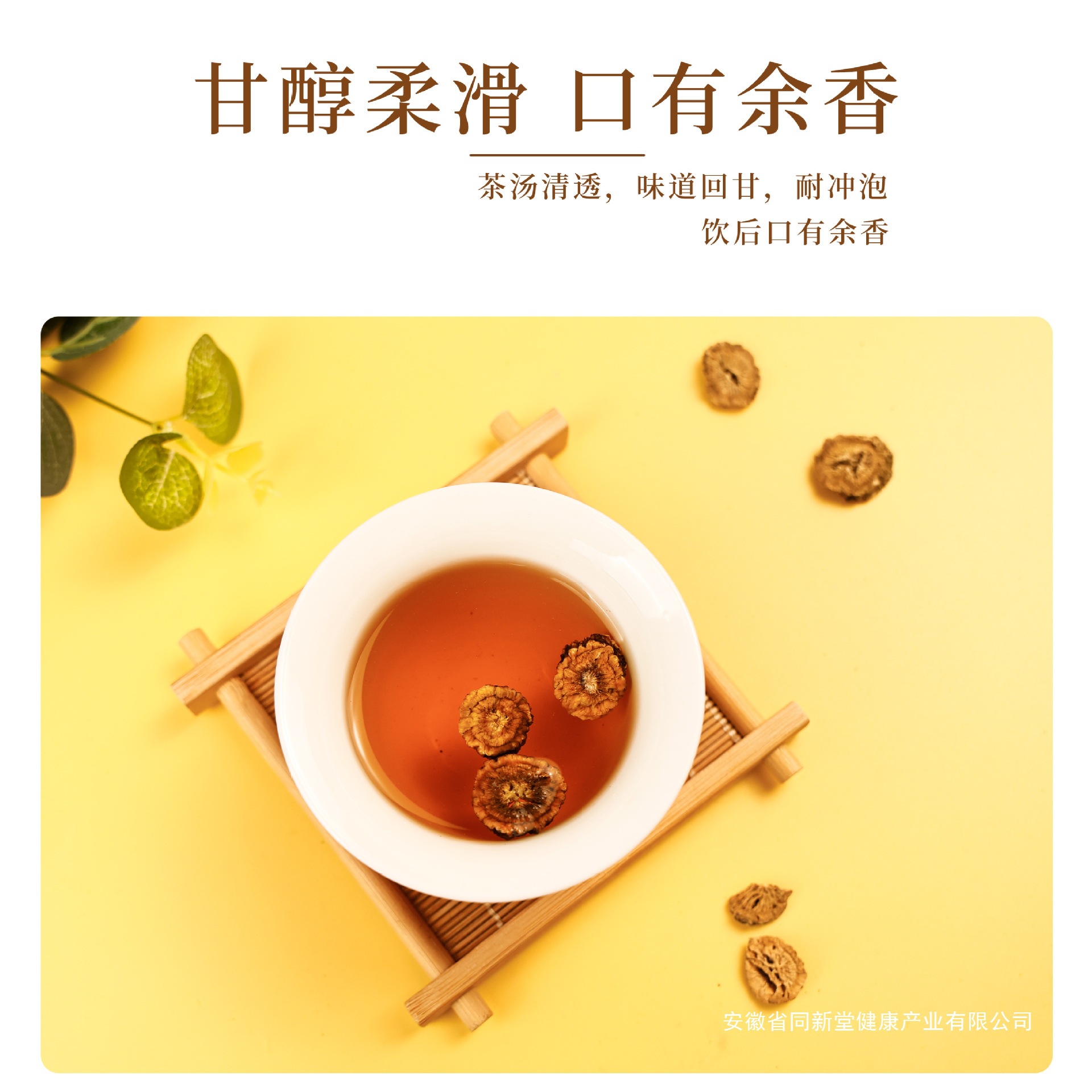 Beijing Tongrentang Burdock Root Tea Bozhou Health Tea Canned Dry Goods Soaked in Water for Drinking Origin Gold Raw Materials Wholesale