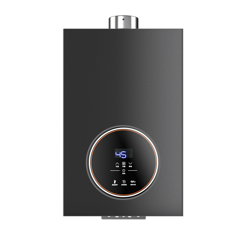 Wholesale Royalstar Natural Gas Water Heater Household 13L Liquefied Gas Forced Exhaust Gas 16 Liters