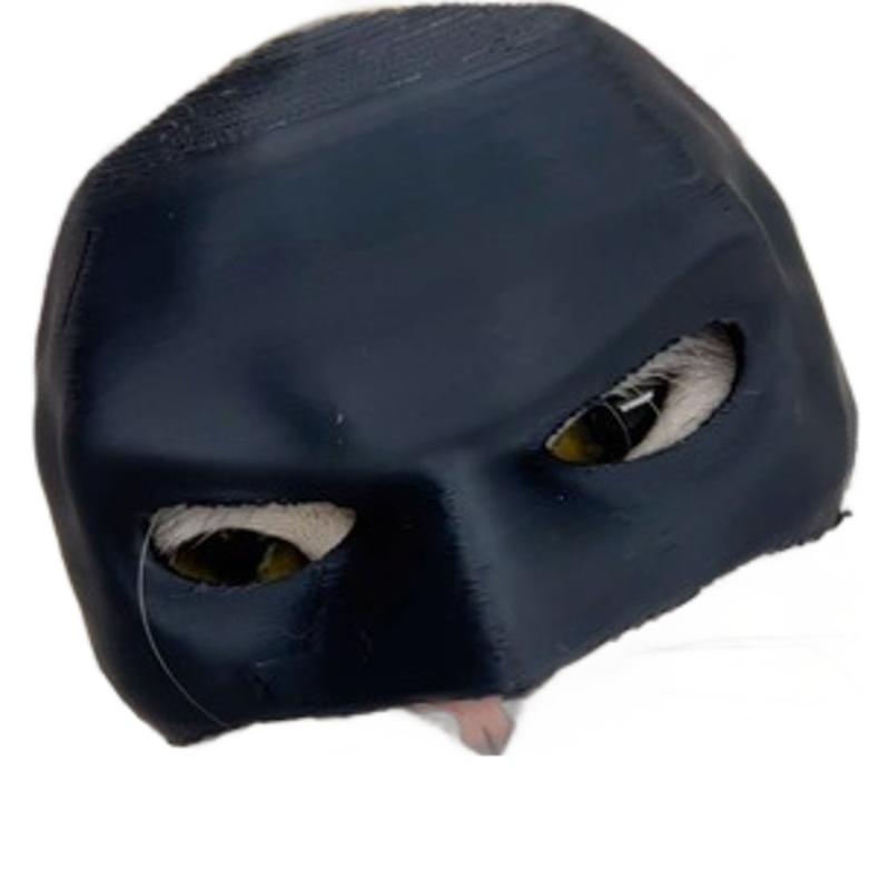 Tk Cross-Border New Batcat Avengermask Bat Cat Avenger Mask Cat Mask Pet Mask