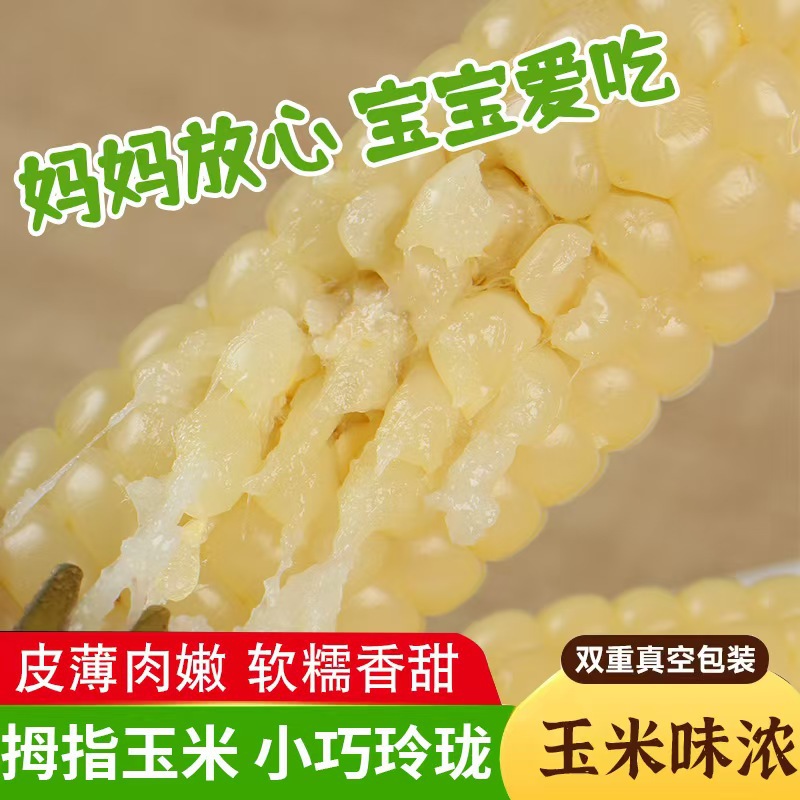 Свежая кукуруза Dai размером с палец из Юннани, вакуумная упаковка, готовая к употреблению, замена пищи