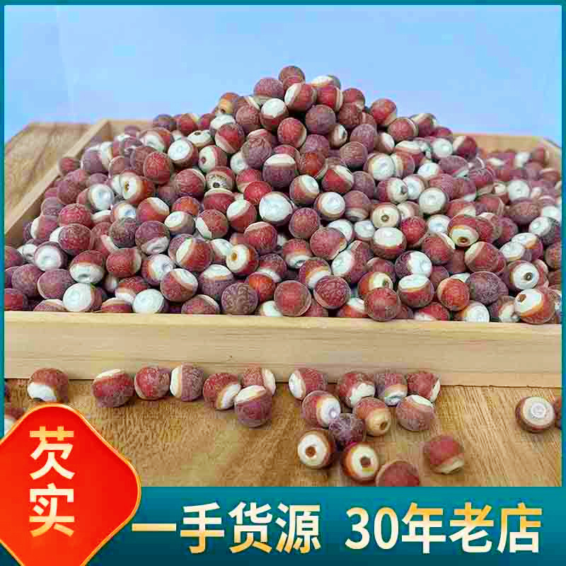 【Kangyuan】Оптовая продажа натурального фрукта Гунгун (Gordonia Pentaphylla) размером 10мм и 12мм, отобранные крупные фрукты, различные спецификации, большие объемы по выгодным ценам