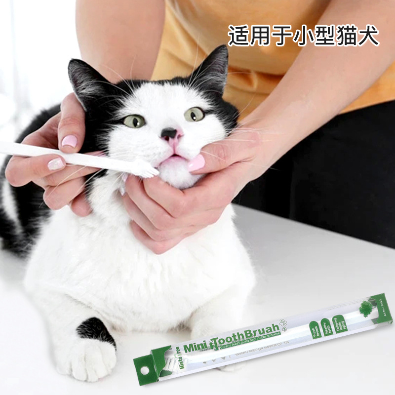 Pet toothbrush single head cat toothbrush cat oral cleaning toothbrush dog care dog toothbrush pet supplies wholesale