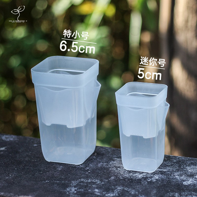 Thickened Translucent Hydroponic Low Square Fleshy Plastic Flower Pot Plant Potted White Scale Measuring Cup Line Suction Pot Small Square
