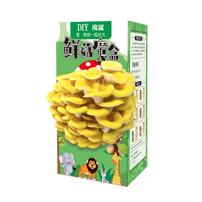 Mushroom Box Fungus Bag Fungus Stick Planting Home School Award Gift Kindergarten Kitchen Plant Blind Box Fleshy Welfare