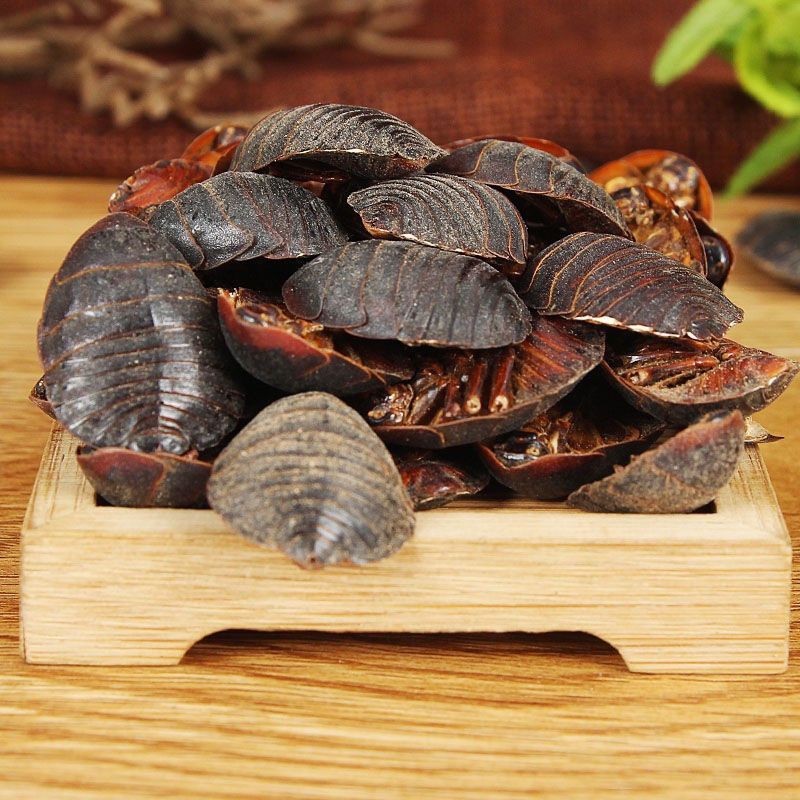 Chinese Wild Mountain Earthworm Dustpan Insect Can Be Powdered Earthworm Earthworm Earthworm Earthworm Good Product