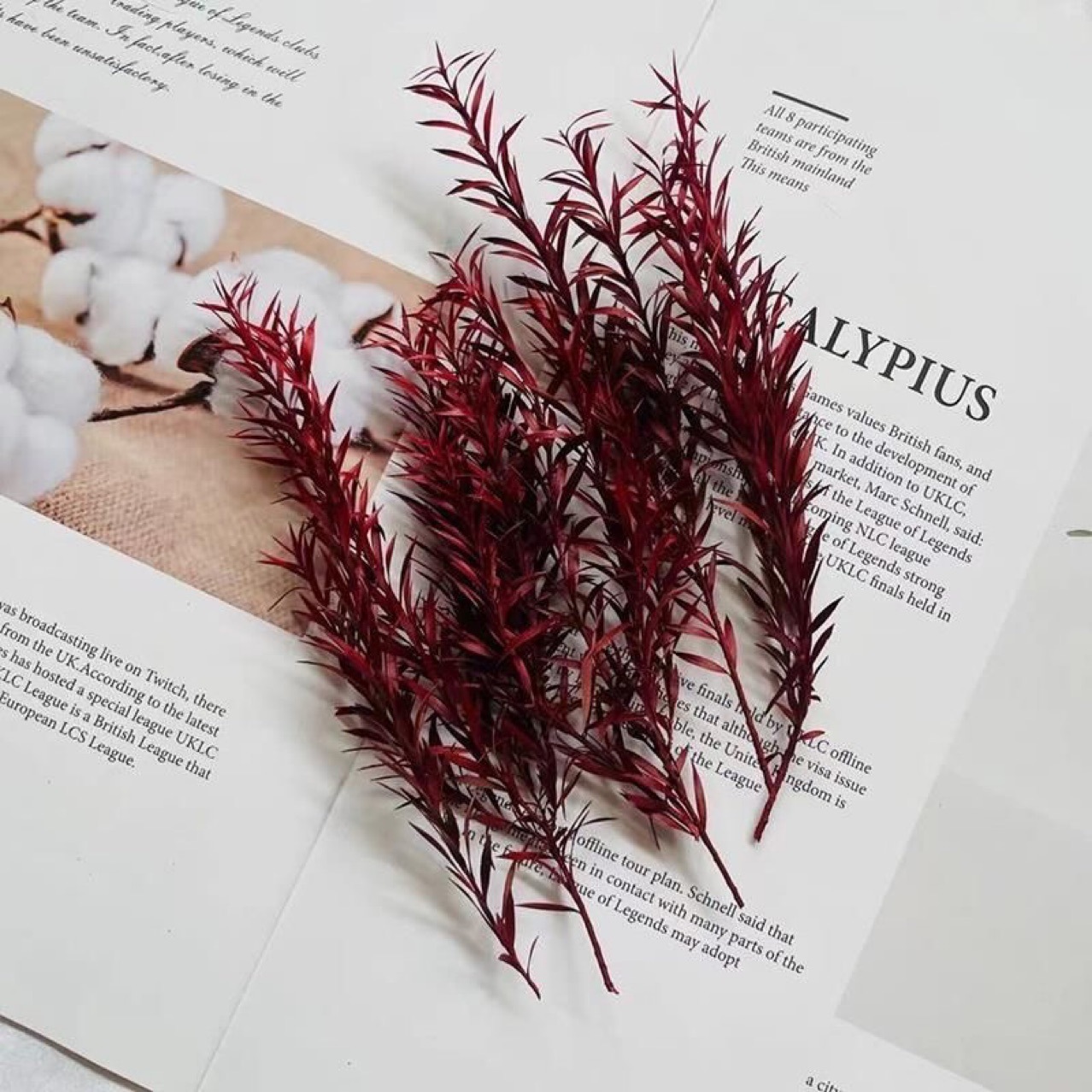 Сохраненные цветы Материал Новый год Тысяча слоев золотого листа DIY материал Упаковка для открыток с засушенными цветами Зеленые растения фотопродукция