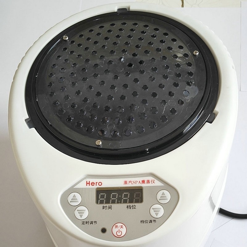 4 Liter Bath Box Accessories Fumigation Machine Household Sauna Steamer Steam Pot Drug Fumigation Instrument 2000 Watt Sweat Steamer