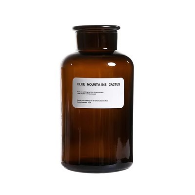 Cross-Border New Glass Vase Wholesale Living Room and Restaurant Decoration Vase Vas Flower Arrangement Exquisite