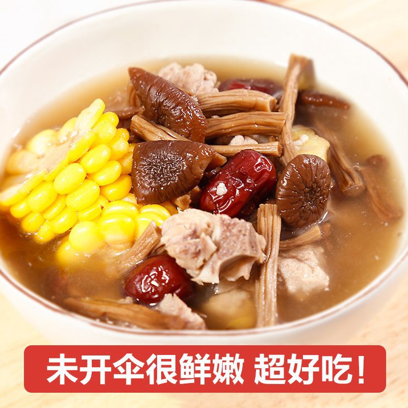 [No Desiccant] Dry Tea Tree Mushroom Wholesale 500g Gutian Dry Tea Tree Mushroom Vegetable Soup 20g